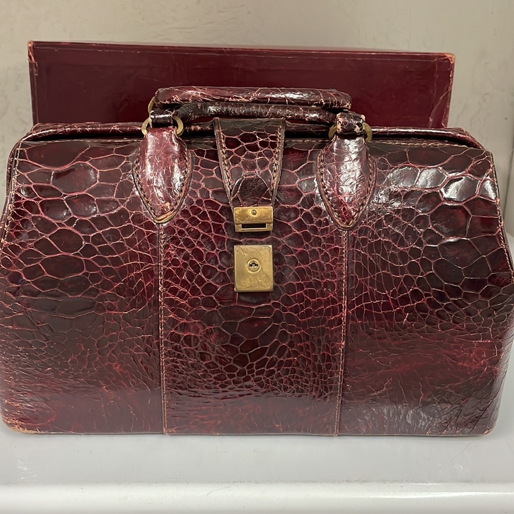 Vintage rare Polly Bergen Bag/Turtle skin tortoise